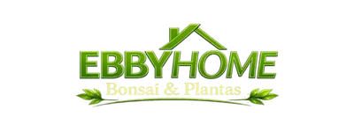 EBBY HOME - Mudas e Bonsai